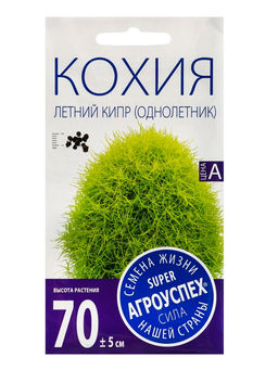 Цена за 3 шт. Семена цветов Кохия «Летний кипр», «Агроуспех» 0.3 г