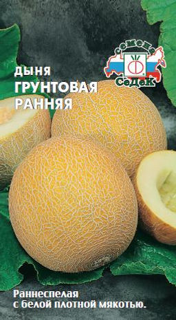 Дыня Грунтовая ранняя 0,5г (СеДеК)