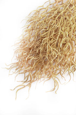 Кустик декоративный 40 см (SF-7339) золото №13 - Больше подарков фото 2