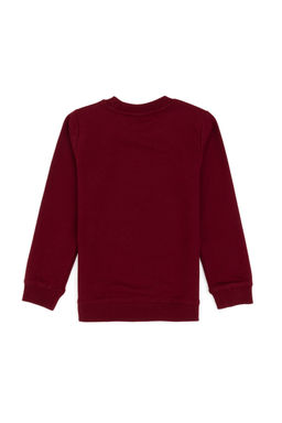 Erkek _ocuk Bordo Bisiklet Yaka _nce Bisiklet Yaka Sweatshirt - U.s. polo assn фото 5