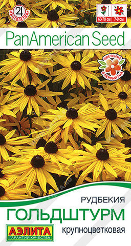 1778A Рудбекия Гольдштурм крупноцветковая 5шт