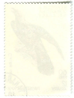 Марка Кукушка обыкновенная 1991 год Мадагаскар