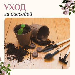 Цена за 3 шт. Набор садового инструмента для комнатных растений, 3 предмета: грабли, 2 лопатки, длина 24 см, деревянные ручки, Greengo