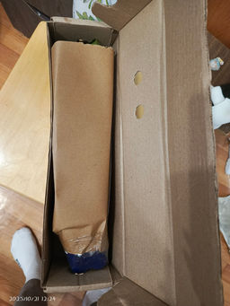 Гортензия крупнолистная Ю энд Ми Форевер