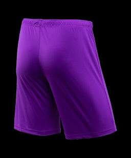 Шорты игровые JOGEL CAMP Classic Shorts, фиолетовый/белый  фото 3