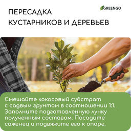 Субстрат кокосовый, универсальный, для террариумов и растений, в брикете, 25 л, 100% торф, Greengo