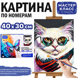 Картина по номерам MKR4030-153 "Важный кот" 40х30 см.