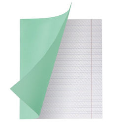 Цена за 200 шт. Тетрадь 12 листов в частую косую линейку «Зелёная обложка», плотность обложки 90 г/м²
