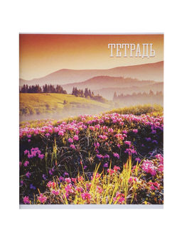 Комплект тетрадей, 48 листов в клетку, Calligrata «Времена года», серые листы, 4 штук