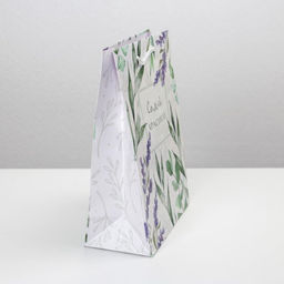 Цена за 2 шт. Пакет подарочный ламинированный, упаковка, Best wishes, MS 18 х 23 х 8 см