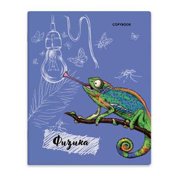 Тетрадь предметная арт. 52173 ФИЗИКА /