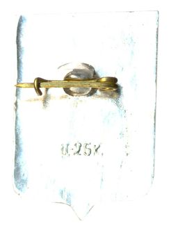 Значок Новгород