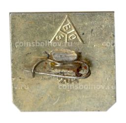 Значок Владимир