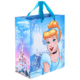 Пакет ламинированный вертикальный, 23 х 27 х 11,5 см Time to be princess, Принцессы