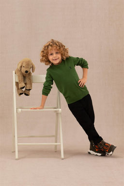 U. S. Polo Assn Зеленый базовый свитер для мальчика - U.s. polo assn фото 6