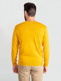 Джемпер мужской GREG G121-AC023 (горчица)  фото 5