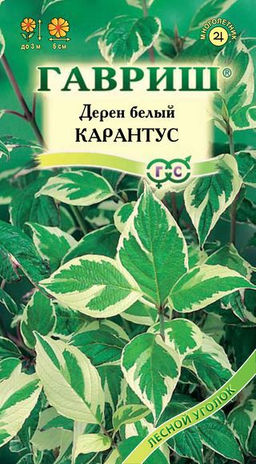 Дерен Карантус белый 0,1гр (г)