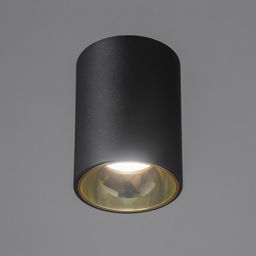 Светильник «Роллфи» LED 4000К 10 Вт DIM220 IP54 черный золото 7.5×7.5×10 см