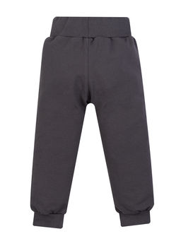 Брюки детские серые