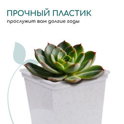 Цена за 36 шт. Горшок для рассады, 250 мл, d=7 см, h=8 см, пластик, белый