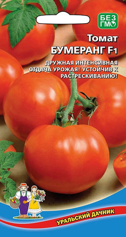 Томат БУМЕРАНГ F1 Максимальный урожай без химии! Благородный, деликатесный вкус! Дружная и интенсивная отдача урожая! Не растрескивается!