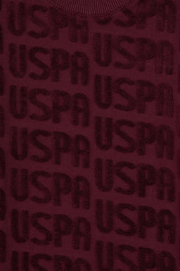 Erkek _ocuk Bordo Bisiklet Yaka Sweatshirt - U.s. polo assn фото 4