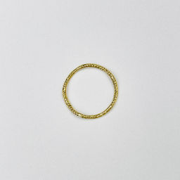 Коннектор-кольцо (1 шт)