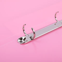 Expert Complete Trend ICEberries Папка на 2 О-кольцах A4 700 мкм 25 мм лён 1 шт. d - 20 мм клубника EC211320073