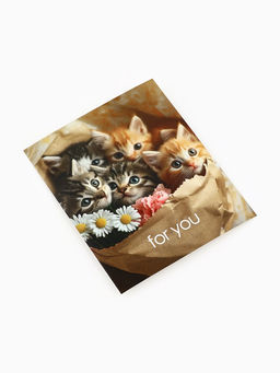 Набор мини-открыток в коробке со скрепками «Котики», 35 штук, 8 x 10 см
