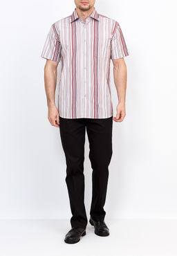 Сорочка мужская короткий рукав GREG Gb361/309/61/Z/1  фото 6