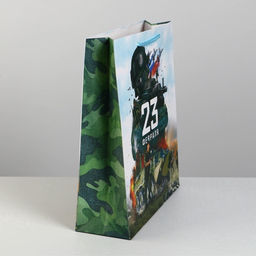 Цена за 2 шт. Пакет подарочный ламинированный, упаковка, С 23 февраля, M 26?30?9 см