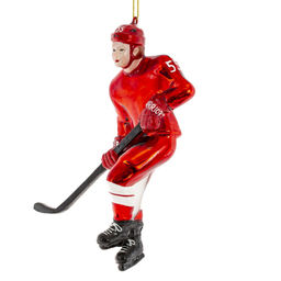 Украшение новогоднее "Хоккеист", L10 W5 H12 см, 2в.