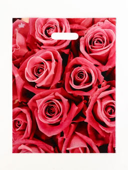 Цена за 50 шт. Пакет подарочный Джейми, полиэтиленовый с вырубной ручкой, л 40?31 см, 60 мкм