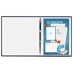 Портфолио школьника арт. 61231 ЗВЕЗДНОЕ ПОРТФОЛИО