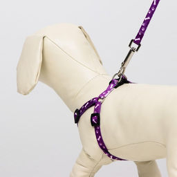 Комплект Классика, поводок 120 х 1 см, ОГ 28-47 см, фиолетовый - Пижон фото 7