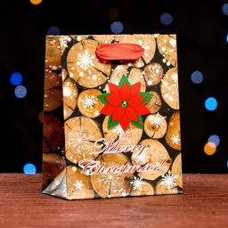 Цена за 12 шт. Пакет ламинированный "Merry Christmas" 11,5 х 14,5 х 6 см