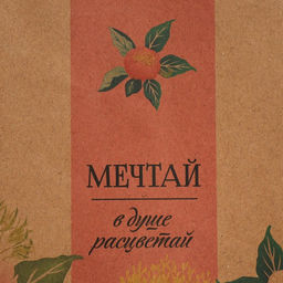 Цена за 2 шт. Пакет подарочный крафтовый, упаковка, Мечтай, ML 23?27?11.5 см