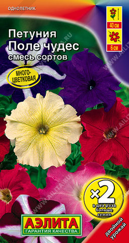 Петуния Поле чудес многоцветковая, смесь сортов (2028)