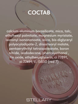 Stellary Хайлайтер / Highlighter Sparkling wine collection тон 01  фото 8