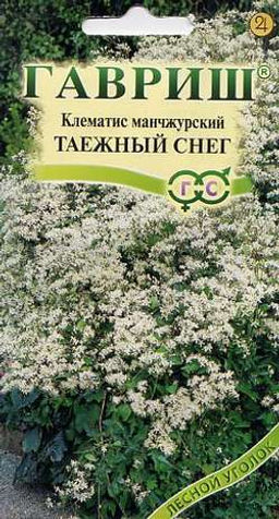 Клематис Таежный снег манчжурский 0,05г (г)