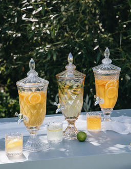 Диспенсер для напитков (3 л) 1020-3000 00102301