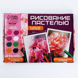 Набор для рисования масляной пастелью Пионы, 8 цветов, набор для творчества