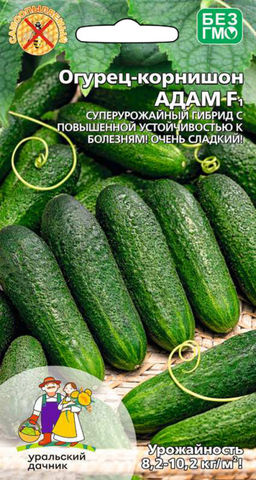 Огурец АДАМ F1 Суперурожайный гибрид с повышенной устойчивостью к болезням! Очень сладкий!
