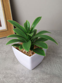 Цветочная композиция Кактус 8-12 см / KL-06 /уп 12/288/ - ГалеонТрейд фото 4