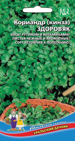 Кориандр (Кинза) ЗДОРОВЯК  Богат рутином и витаминами! Листья нежные и ароматные! Сорт устойчив к полеганию!