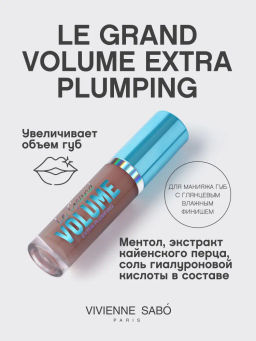 Vivienne Sabo Плампер для губ Le Grande Volume Extra Plumping тон 04 коричневый  фото 2
