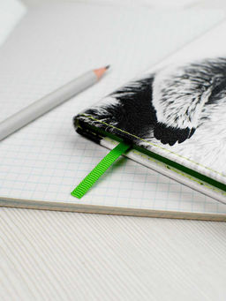 Дневник школьный арт. 68716 / 15 ЕНОТ В ШАПОЧКЕ