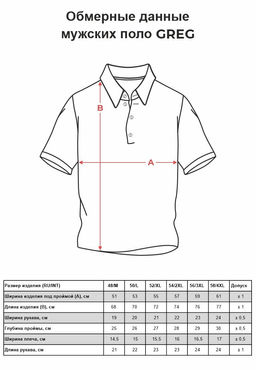 Джемпер мужской с воротником поло короткий рукав GREG G144-ZH-2 (серый м.)  фото 7