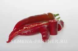 Перец острый Эдвин - Партнер фото 3