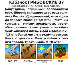 Кабачок Грибовский 37 (белоплодный) 8шт. (Аэлита, серия Лидер)